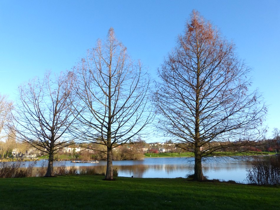 Ma vie et ses surprises !