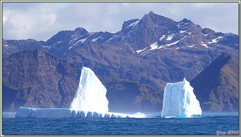 Les passagers remontés à bord, les Zodiacs remisés sur le pont supérieur, nous naviguons vers Grytviken - Géorgie du Sud