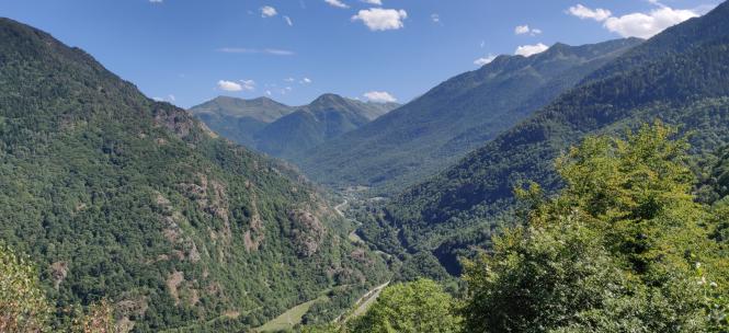 Réussir dans la vie, ou réussir sa vie. (1)