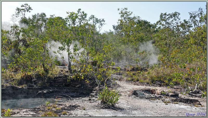 Débarquement à l'île Fergusson, puis, accompagnés par des guides locaux, direction de la source d'eau chaude de Deidei, avec ses fumées et ses geysers - Papouasie Nouvelle-Guinée