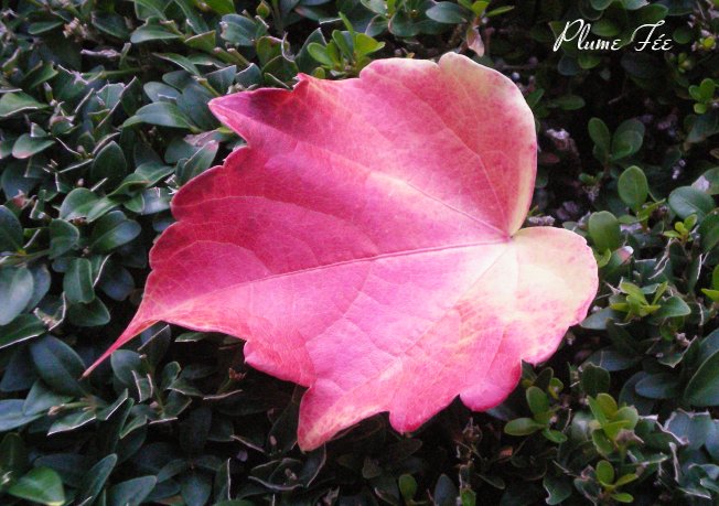 Image07.jpg