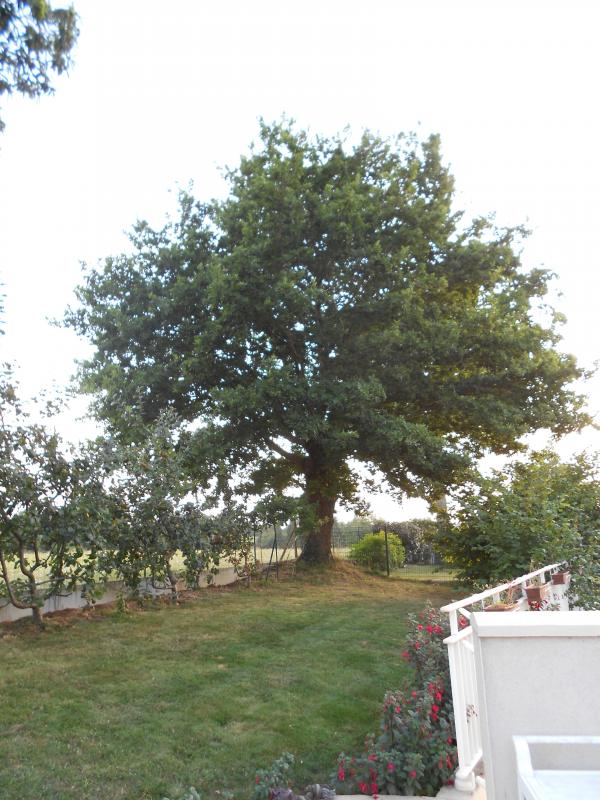 Un petit tour de jardin ... !!!