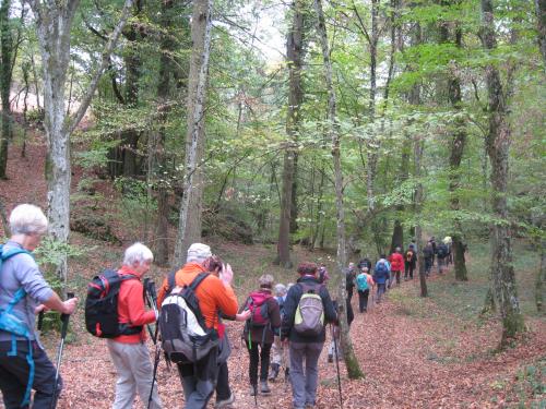 "Couchey TO" - Mercredi 24 octobre 2018