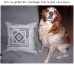 The Blue Secret Hardanger Sampler *Montage final