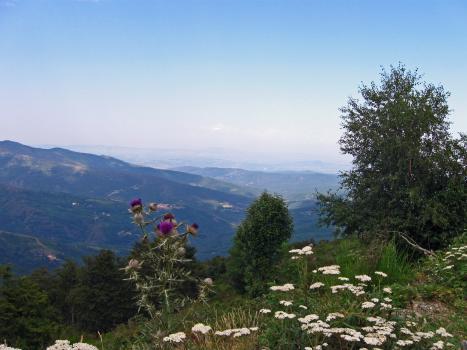 Sur les hauteurs d'une vallée âpre - Le Tour du Vallespir - Etape 1 : Amélie-les-Bains - Batère - 21,3 kms.