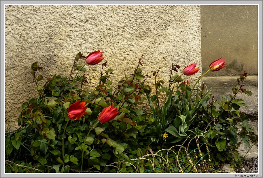 Mon spot du jour -  le vent - 25/04/12