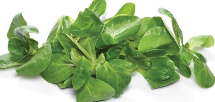 Légumes du mois d'Avril