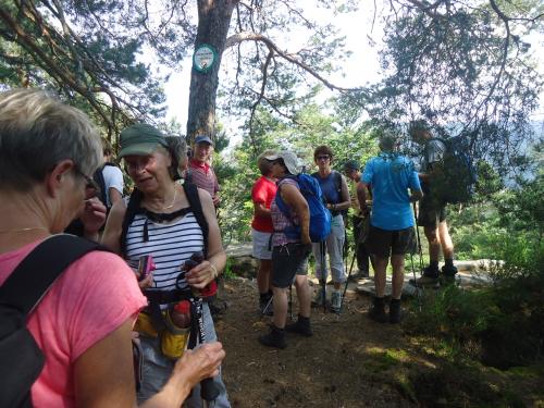 "Séjour dans Les Vosges" - 6 au 13 juin 2015
