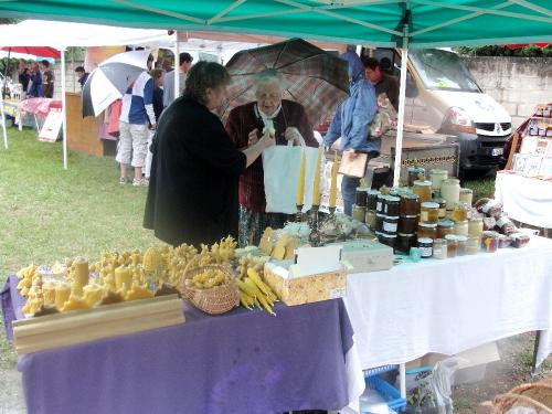-Viticulteurs Châtillonnais