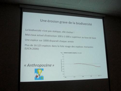 -Dominique Masson , peintre à Villaines en Duesmois