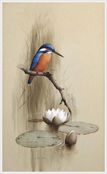 oiseaux en peinture (suite)