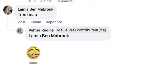 DEMELSA la jeune fille et les livres