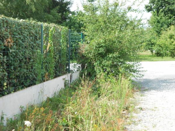 Vive la vie à la campagne … !!!