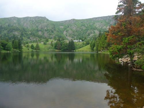 "Séjour dans Les Vosges" - 6 au 13 juin 2015