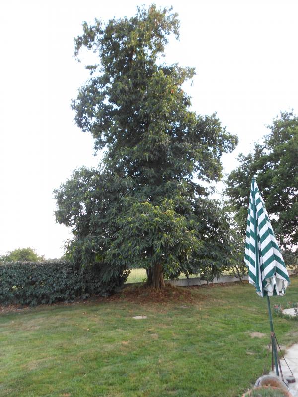 Un petit tour de jardin ... !!!
