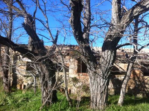 Mas de Paris plein de déchets - Puyloubier