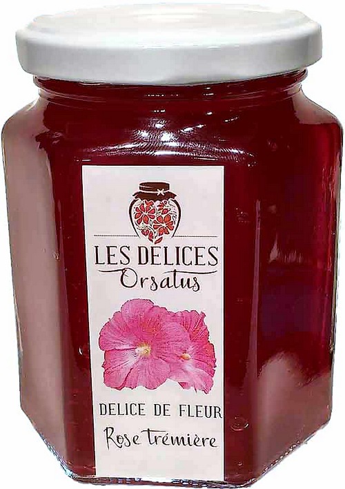 Fleurs cultivées : Rose trémière