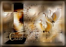 Crowned Crane - Grue couronnée