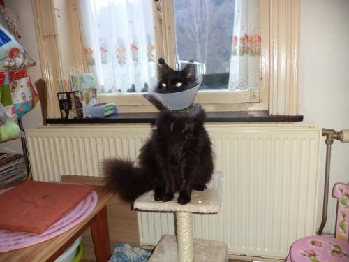 Rhaaaa! Je suis fatiguée!