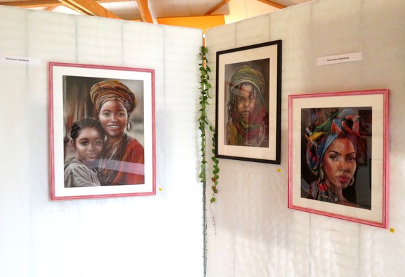 Au Salon d'Automne de Chamesson en 2024, 35 peintres ont présenté 165 tableaux, tous plus beaux les uns que les autres !