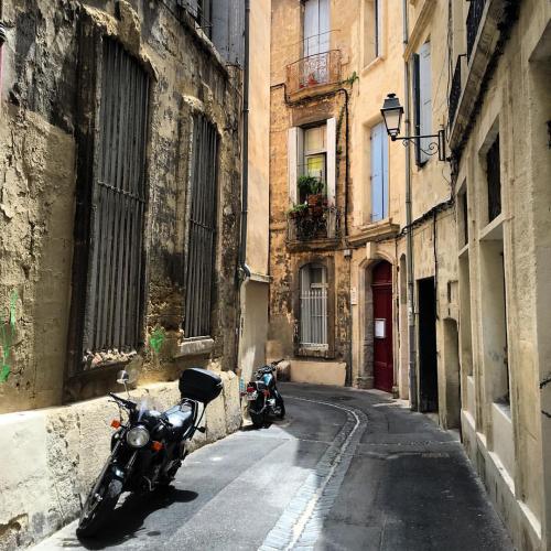 Montpellier  (Hérault)