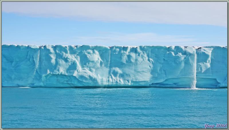 Un peu de "birdwatching" le long du Glacier Bråsvell (Bråsvellbreen) - Calotte glacière Austfonna - Nordaustlandet Island - Svalbard - Norvège
