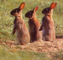 La Blagounette du jour ... !!! 