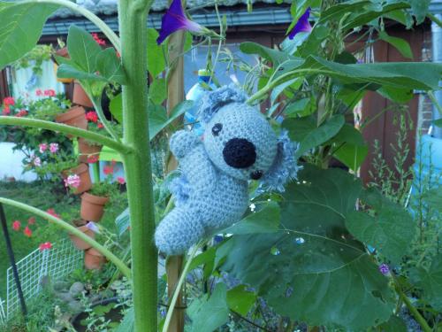 Koala l'ami de Max
