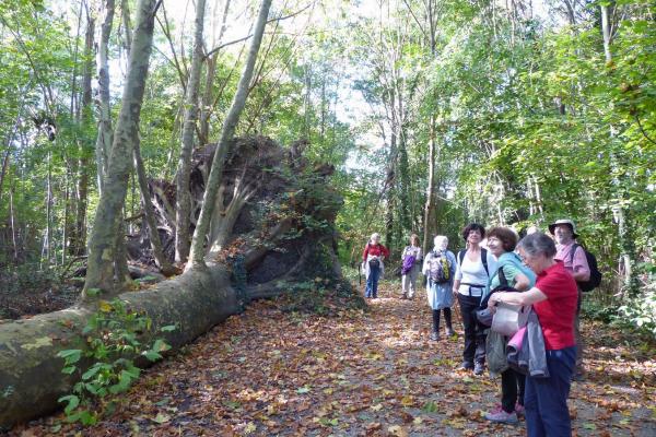 Randonnée le long de l'Yerres
