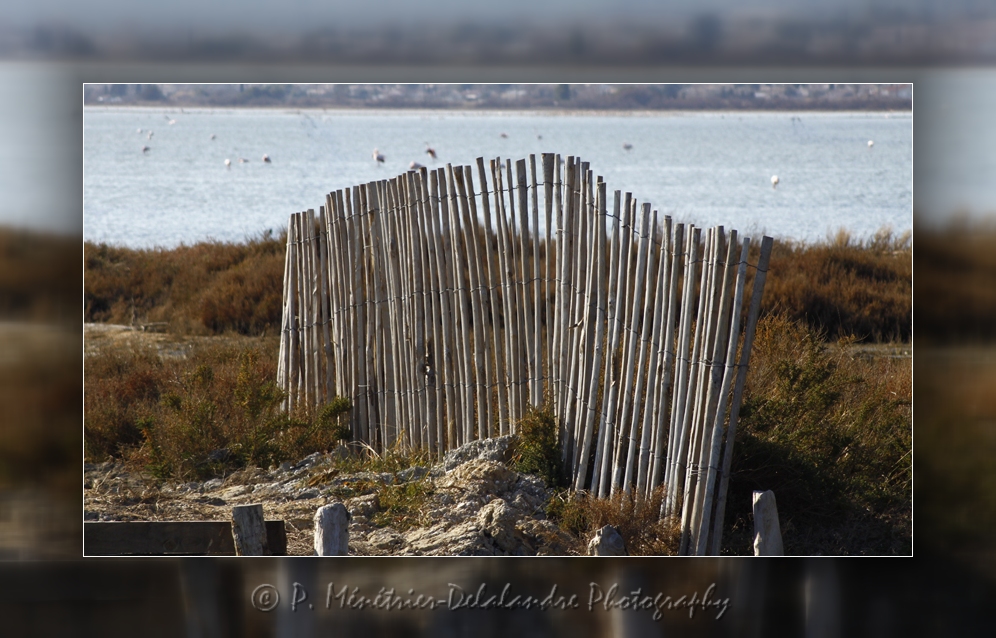 Site naturel protégé des Salines (Hérault)