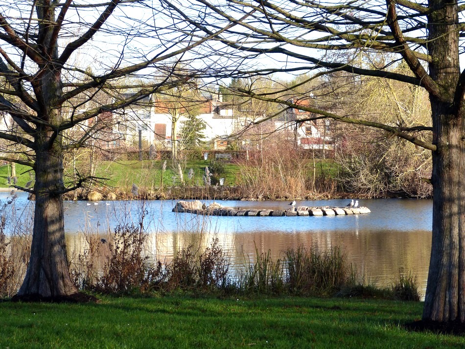 Ma vie et ses surprises !