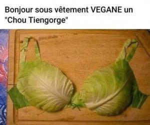 On n'arrêtera pas les migrants avec des paroles ...