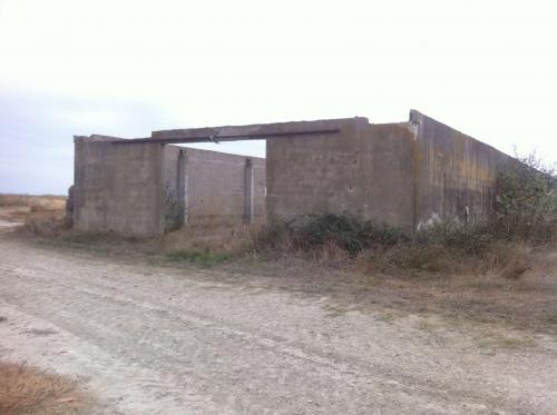 Petit mas ancien destructurée - Camargue