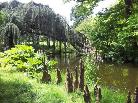 L'arboretum de la Vallée aux Loups à Chatenay-Malabry