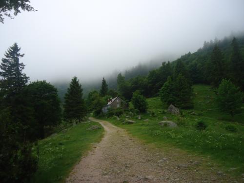 "Séjour dans Les Vosges" - 6 au 13 juin 2015