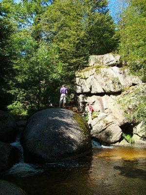 tete-de-sanglier-huelgoat24.JPG