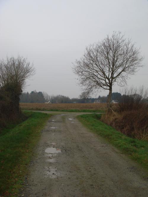 La campagne reinoise