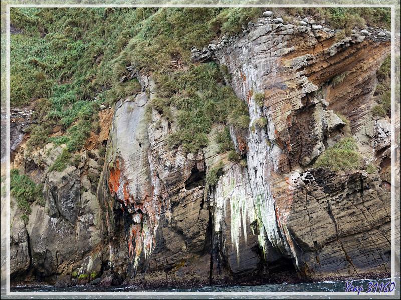 Quand la nature fait dans l'abstrait  : c'est un peu moins beau que les falaises et les grottes précédentes, mais c'est quand même très beau ! - Nightingale Island - Tristan da Cunha