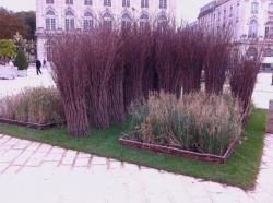 Les jardins éphémères de Nancy 2013.