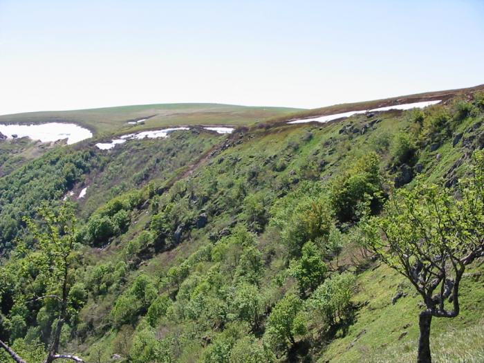 Département des Vosges