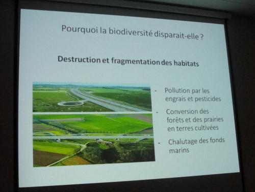 -Dominique Masson , peintre à Villaines en Duesmois