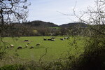 Tour de la Suisse Normande 6étape Clécy à Yhury-Harcourt le 25 mars