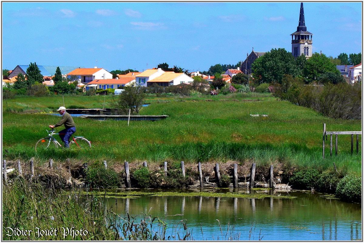 (85) Vendée - L'île d'Olonne (2)