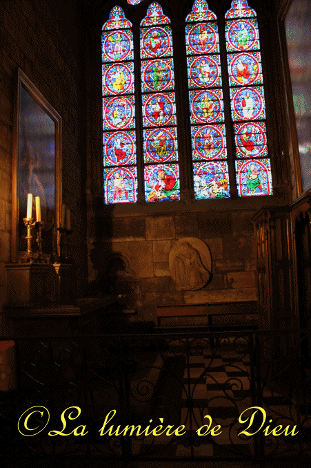 La cathédrale Notre-Dame de Paris