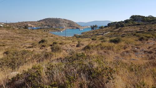 ARKI ? C'est tout petit !