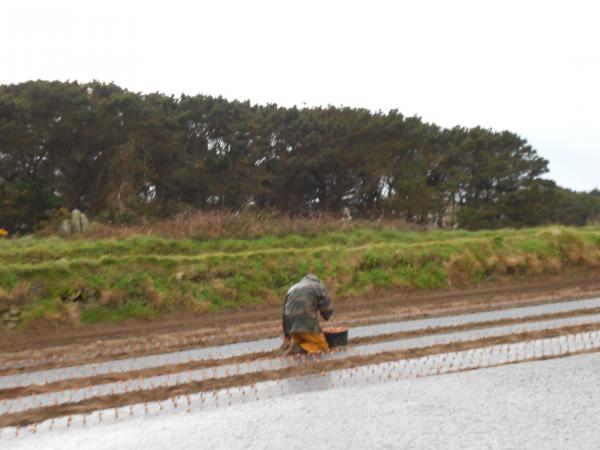 Courageux nos agriculteurs !