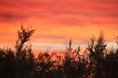 Coucher de soleil