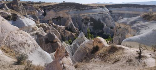 Allons cueillir la Rose !