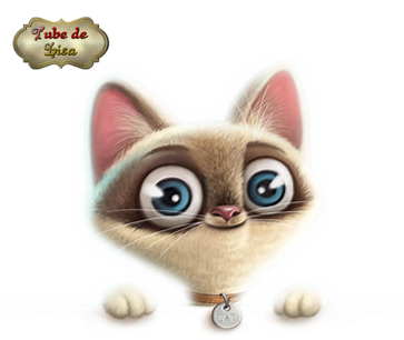 Animaux série 6