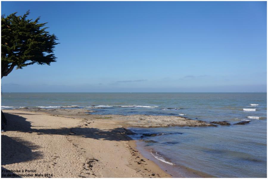 Balade à Noirmoutier 